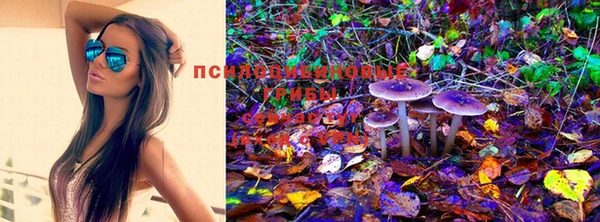 синтетический гашиш Абинск