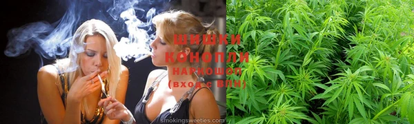 гашик Абаза