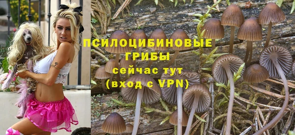 дурь Абдулино