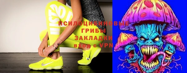 гашик Абаза