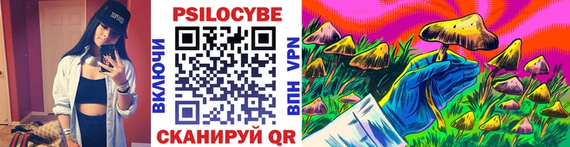 Псилоцибиновые грибы Psilocybine cubensis Туринск